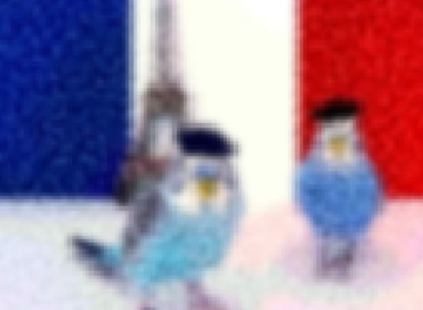 Birds in Paris thumbnail