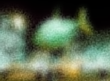 Giant fish spotted flying in New York thumbnail